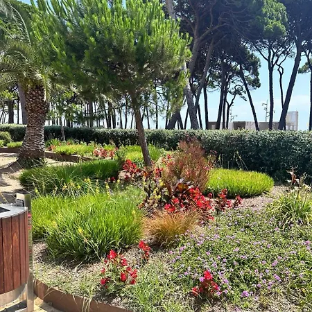 Family Beachfront Apartment La Pineda