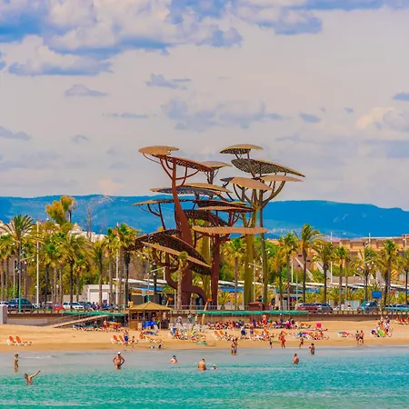 Family Beachfront *